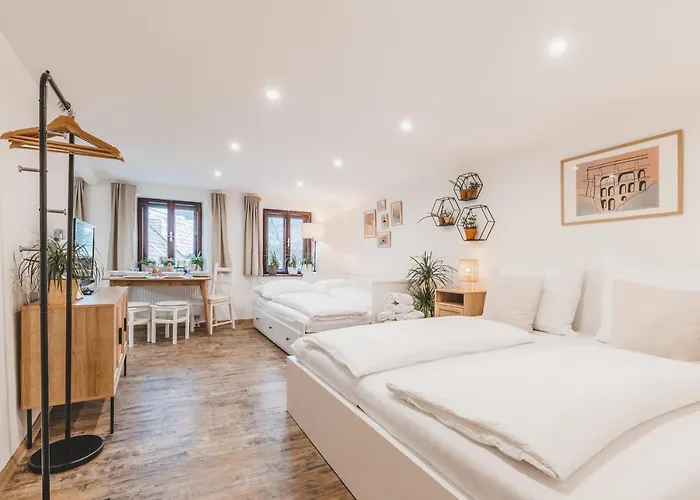 Apartament Konekt Czeski Krumlow